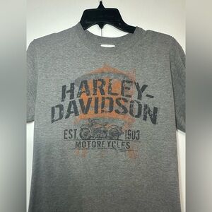 Harley-Davidson distressed logo t-shirt, gray short-sleeve.  Cherohala Skyway.